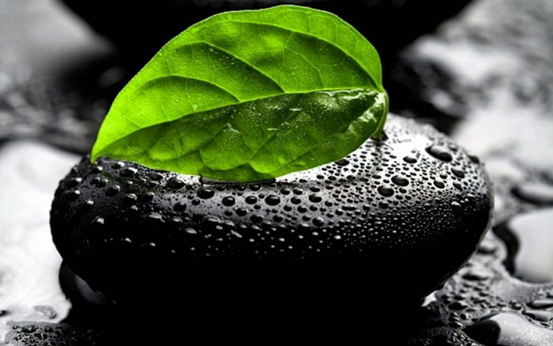 Green: Refreshing and Harmonious