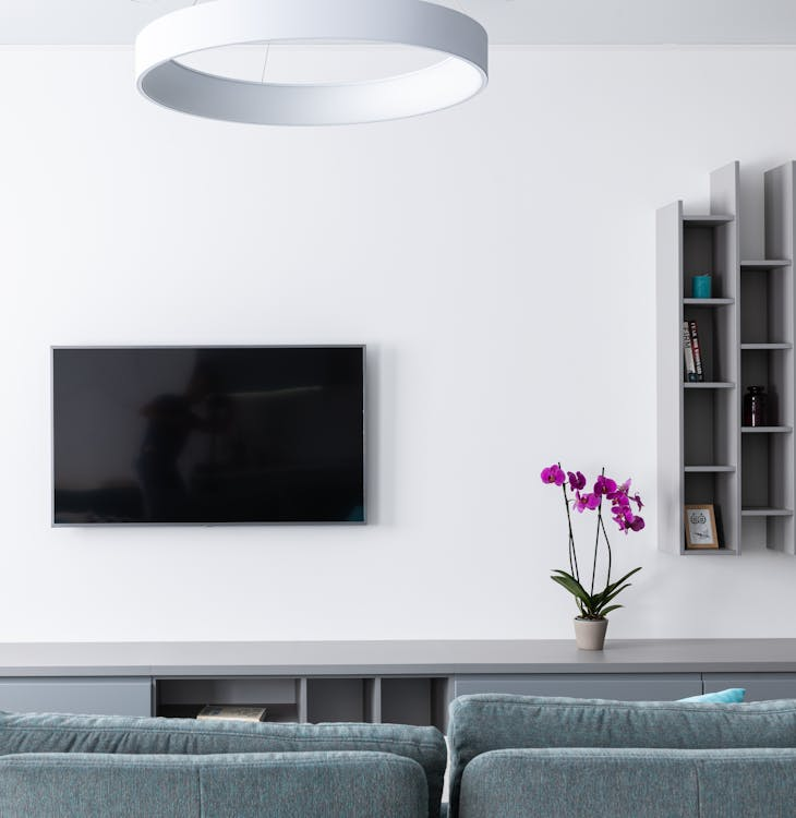 Modern TV near blooming flowers and shelves in lounge
